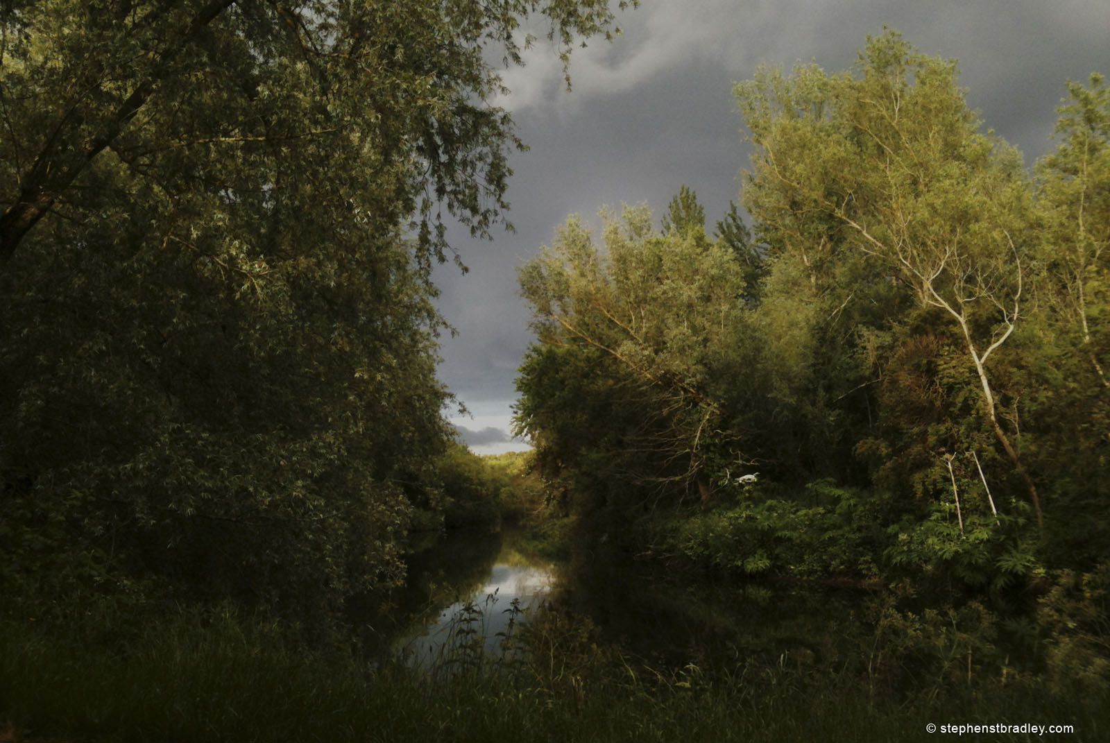 Landscape photograph of the Lagan Tow Path , Northern Ireland, by Stephen Bradley photographer - photograph 2508.
