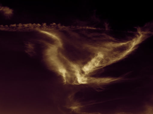Freesoar