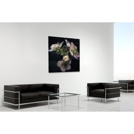 Blackberry blossoms - a fine art photograph by Stephen S T Bradley. Photo in room setting