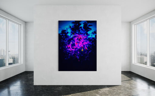 Candyfloss fine art photograph by Stephen S T Bradley shown in room setting, part of the Kaboom Collection from Stephen S T Bradley Fine Art Photography Gallery.